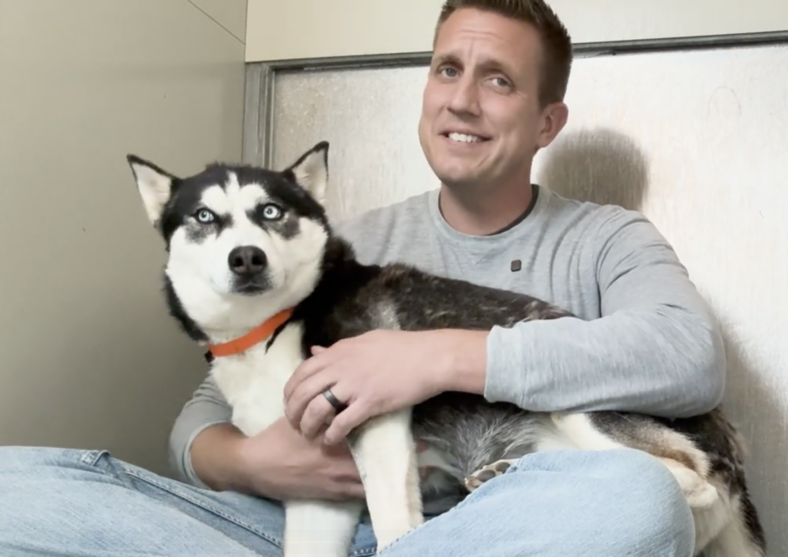 Sitting with dogs 85 - KOA